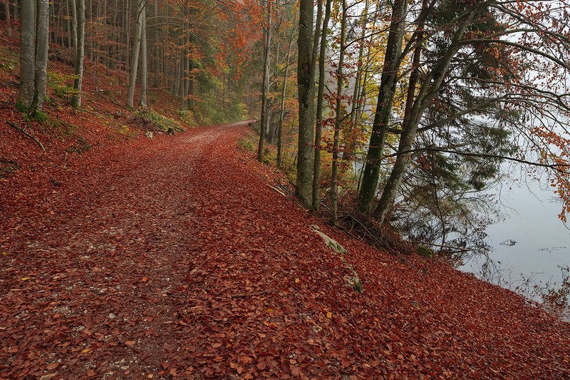 Поздняя осеньphoto preview