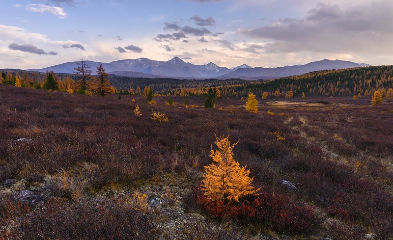Осенний вечер...photo preview