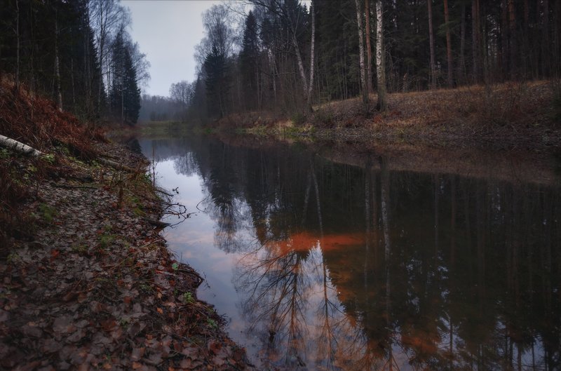 питер, павловск, павловскийпарк, павловский, рассвет Три желания. . .photo preview