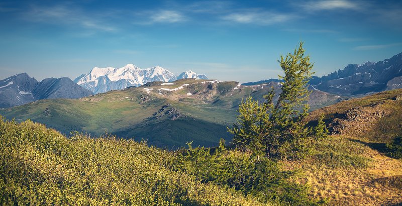 пейзаж, природа, хребет, горы, вершины, белуха, шенелю, катунский, хребет, палатки, ночевка, утро, Алтай, красивая, природа, большой, высокий Ночевка с видом на Белухуphoto preview