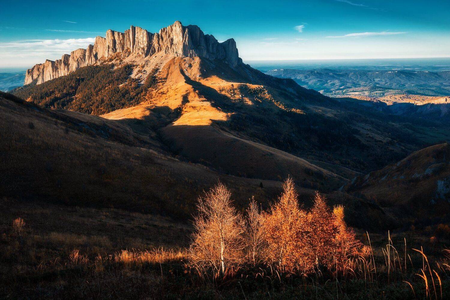 , Сергей Лукашенко