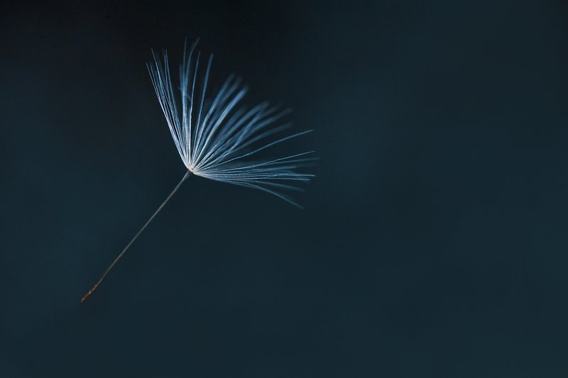 alone...photo preview