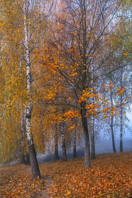 Я возвращаюсь в осень сноваphoto preview