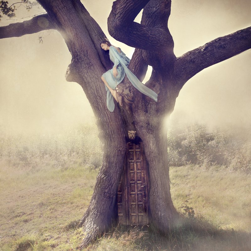 As it Beganphoto preview