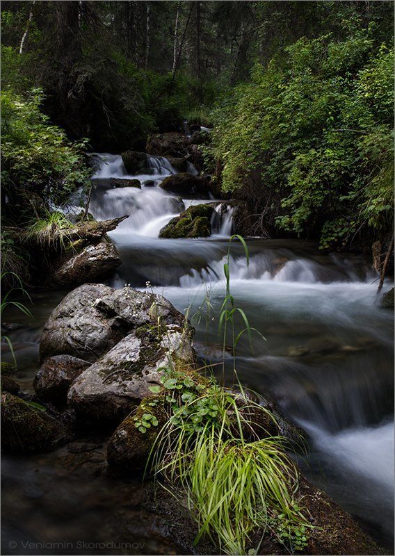 Лесной ручей II фото превью