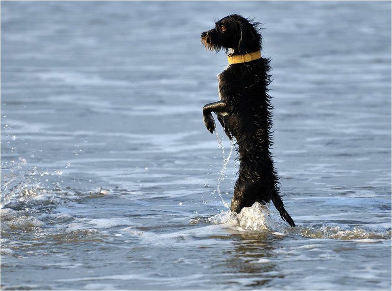 Как провожают пароходы...photo preview