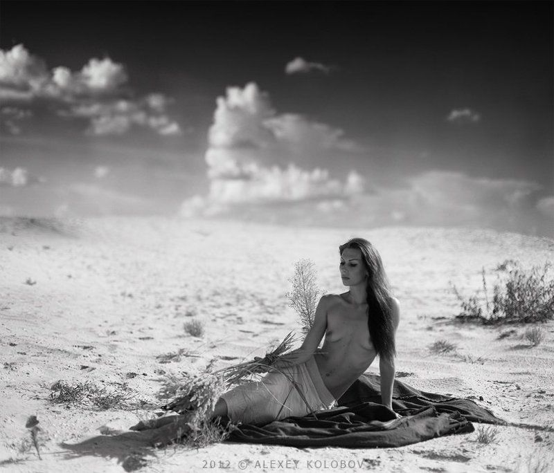 photographyphoto preview