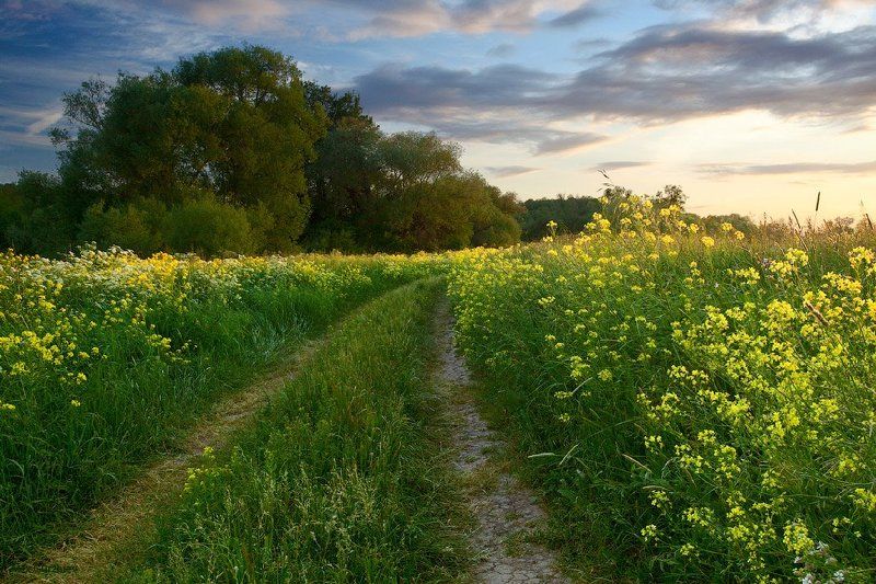 Дороги июляphoto preview