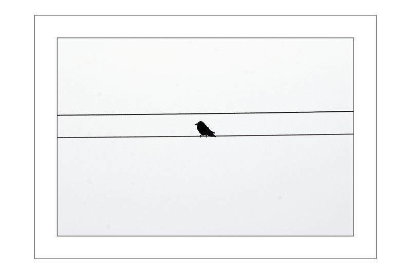 ПРОСТО ФОТОphoto preview