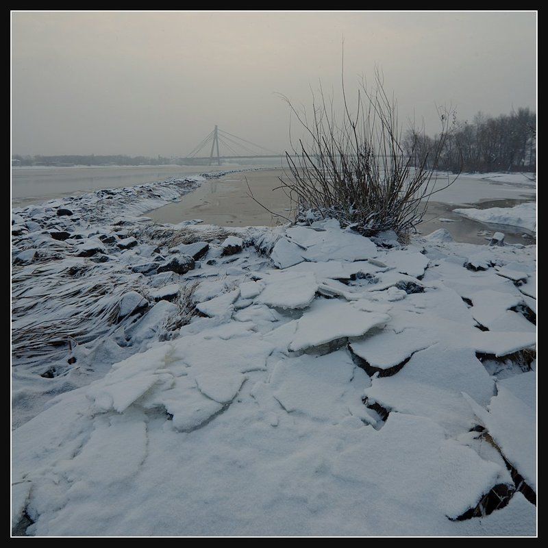 Морозным утром...photo preview