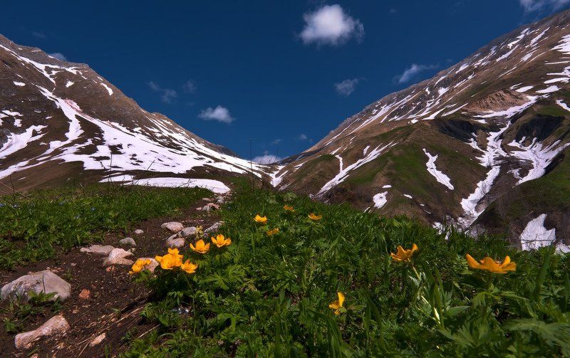 лаго-наки, фишт-оштеновский перевал В жаркий полдень...photo preview