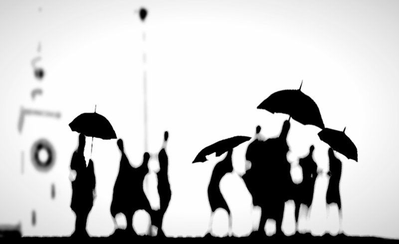 ...the rain...photo preview