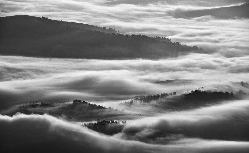 /\\_/\\_photo preview