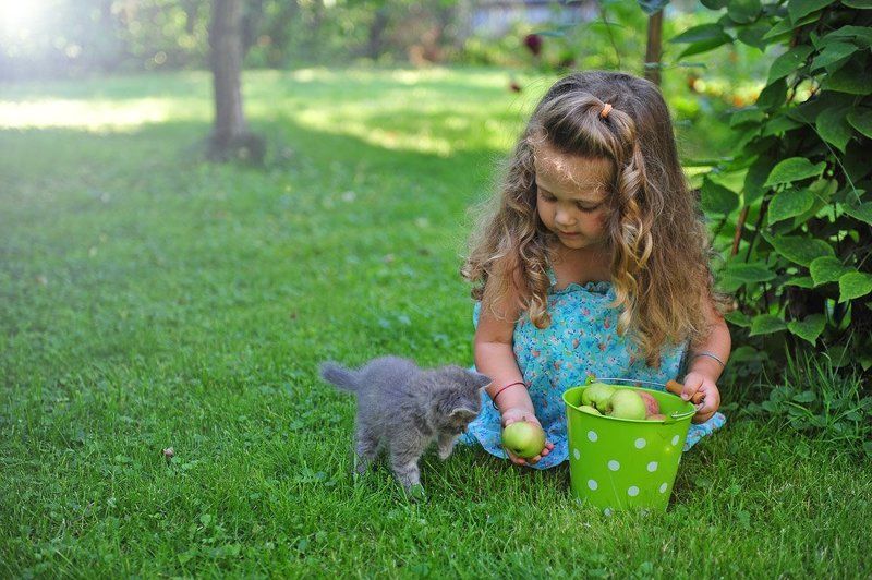 сад, портрет, дети, лето Сбор урожаяphoto preview