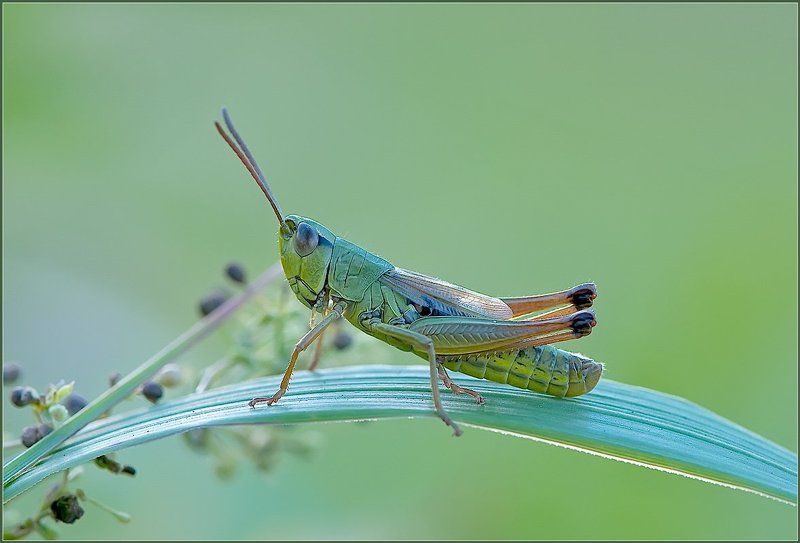 На мостике.photo preview