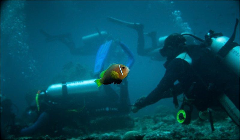 обалдевшая Афигеть ... фото превью