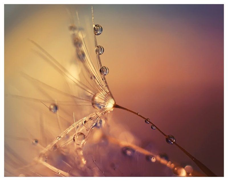 и снова о них ... о капельках =)photo preview