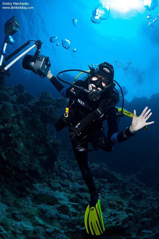 дайвер, подводное фото, дайвинг, фотограф Фотографа вызывали ?photo preview