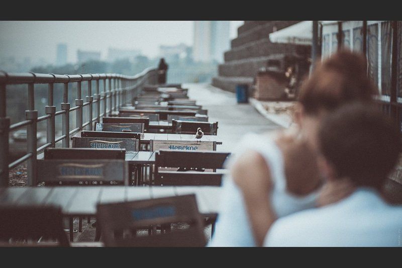 воробей Случайный свидетельphoto preview