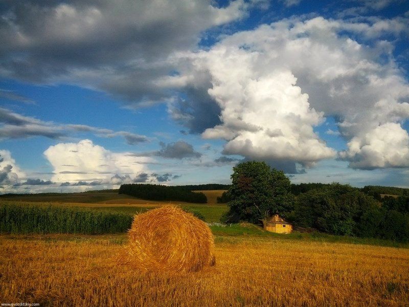 август, поля, урожай, осень Осень всё ближеphoto preview