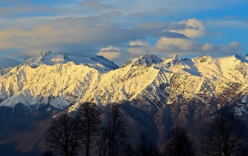 красная, поляна photo preview