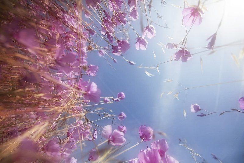 Цветовые Бликиphoto preview