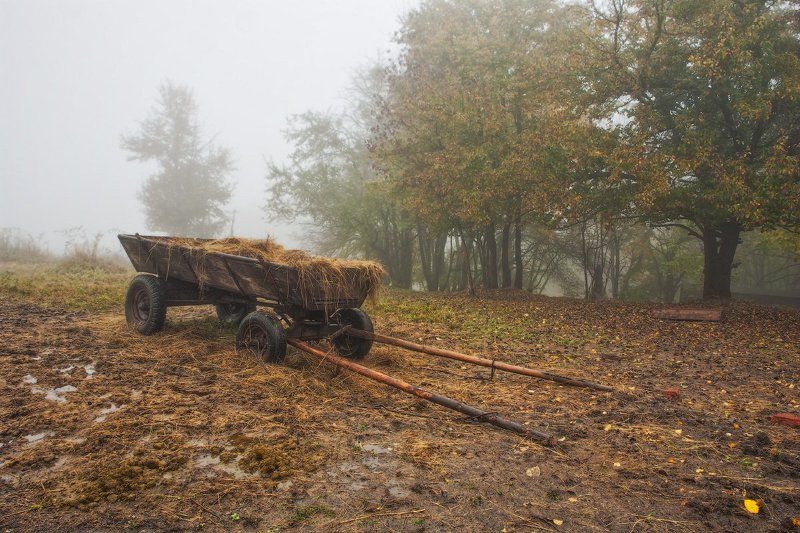 Осенняя печальphoto preview