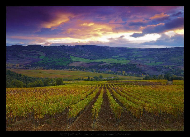 тоскана Под небом Тосканыphoto preview