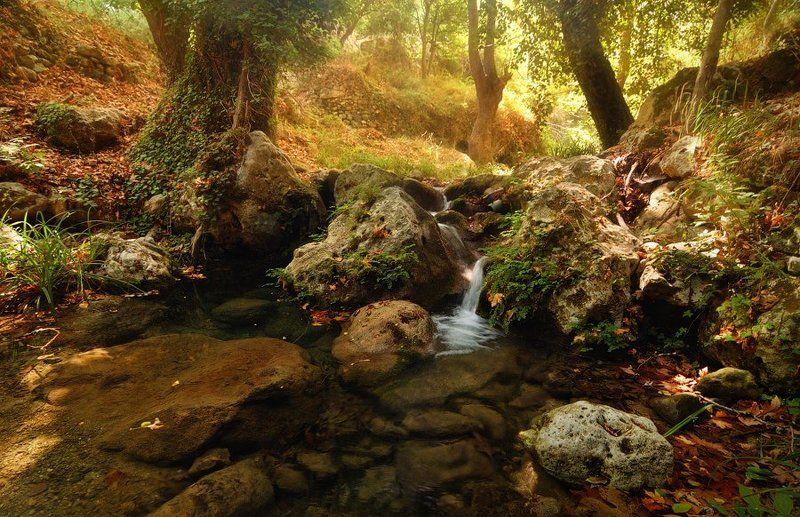 Место, где Сергей Петрович обрел покой, умиротворение и спрятался наконец от проклятой жары.photo preview