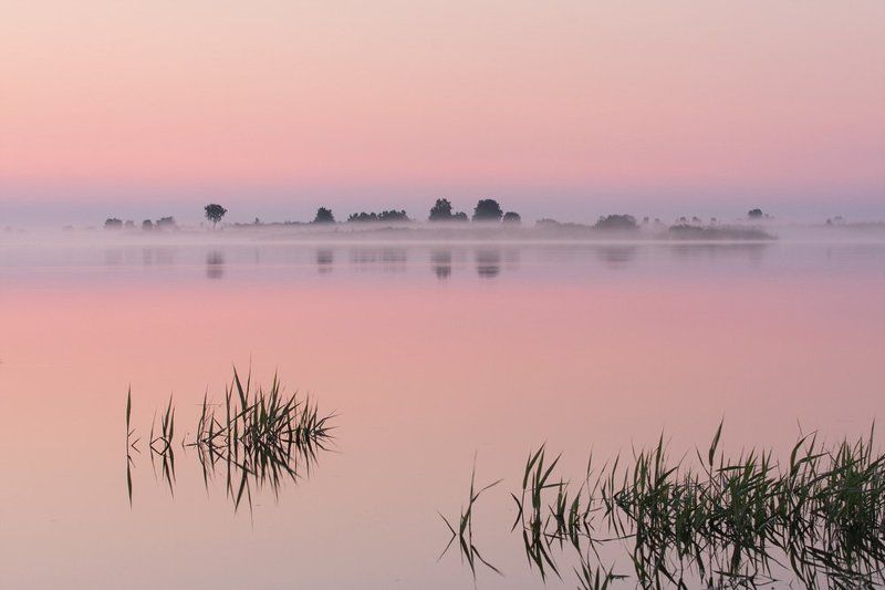 ночь, лето Ночью белойphoto preview