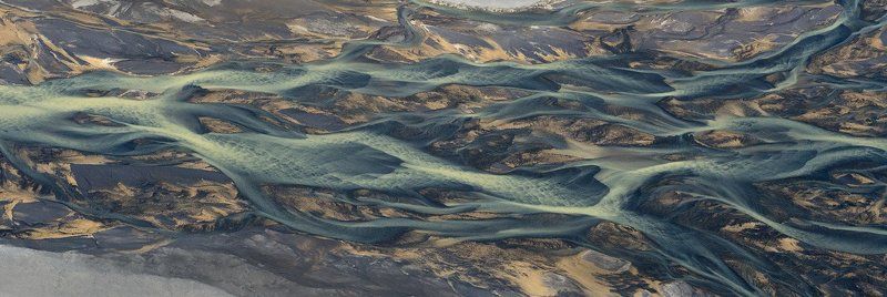 Щупальцаphoto preview