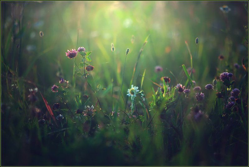 Окошко в сказку.photo preview