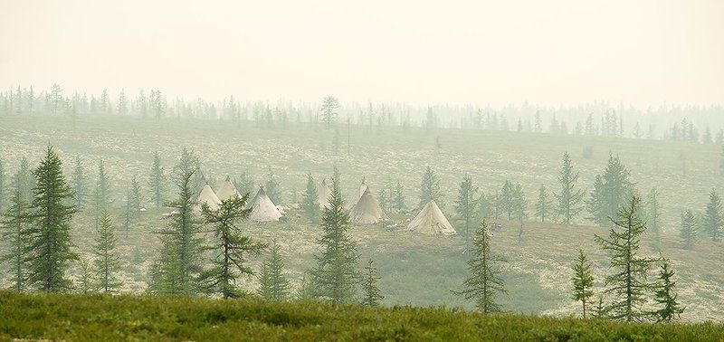 север, путешествия, стойбище, жизнь на краю земли, чумы photo preview