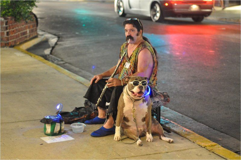 Бременские музыкантыphoto preview