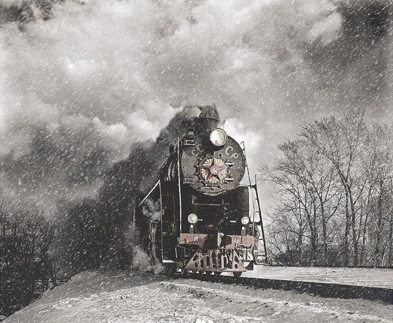 лебедь Перегонphoto preview