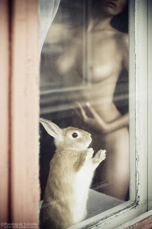 Durasellphoto preview