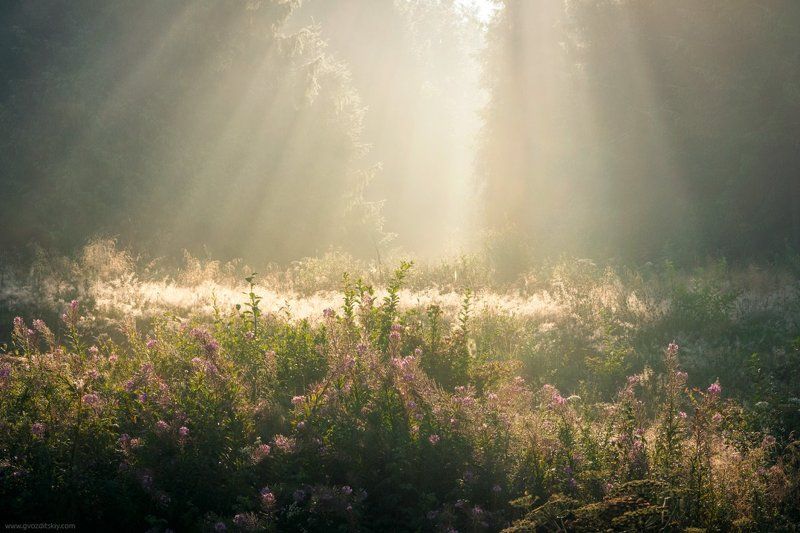 карпаты, утро, лучи, рассвет Солнечный душphoto preview