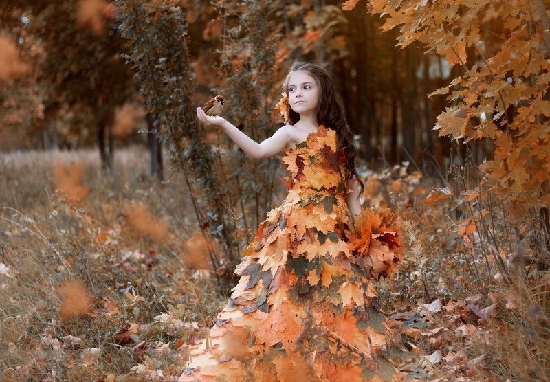 Фея осениphoto preview