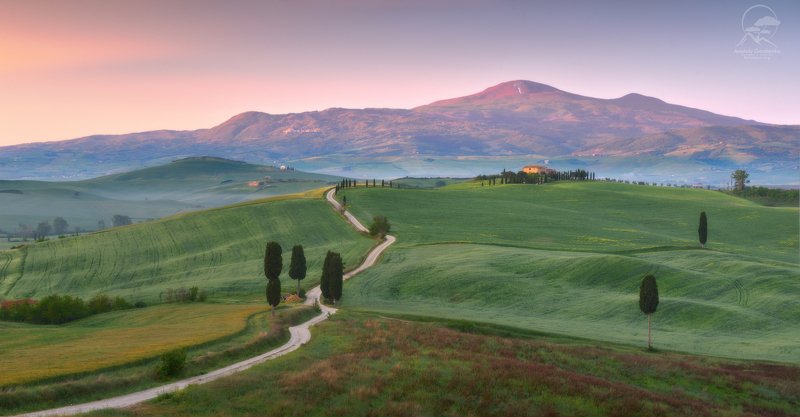 пейзаж, италия, тоскана, вилла, дорога Сеньора гордая, Тоскана!photo preview