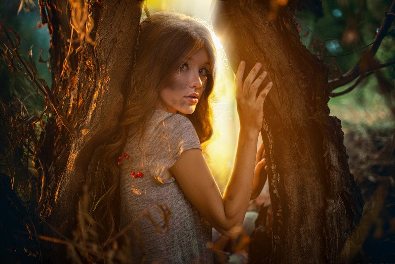 Lost in the forestphoto preview