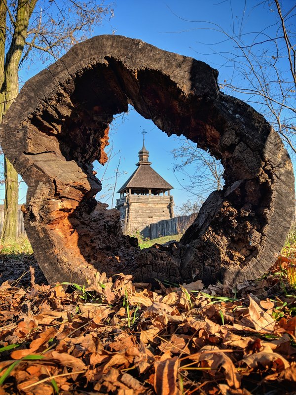 осень,пень,история,небо,листва,пенёк,сеч,хортица,пейзаж,ракурс Сквозь времяphoto preview