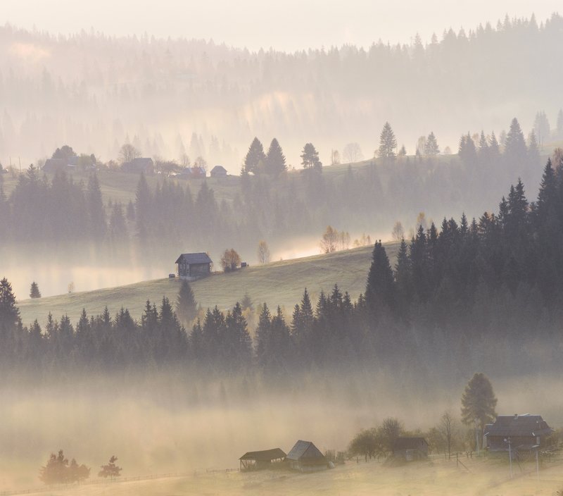 Утро в Карпатахphoto preview