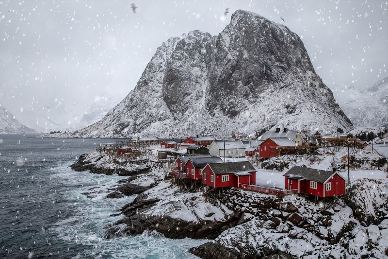 Lofonten, Norway ||photo preview