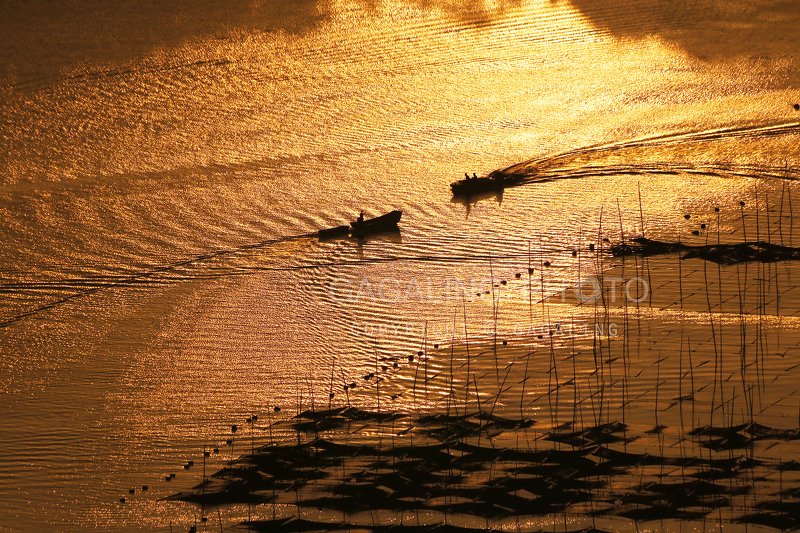 мореphoto preview