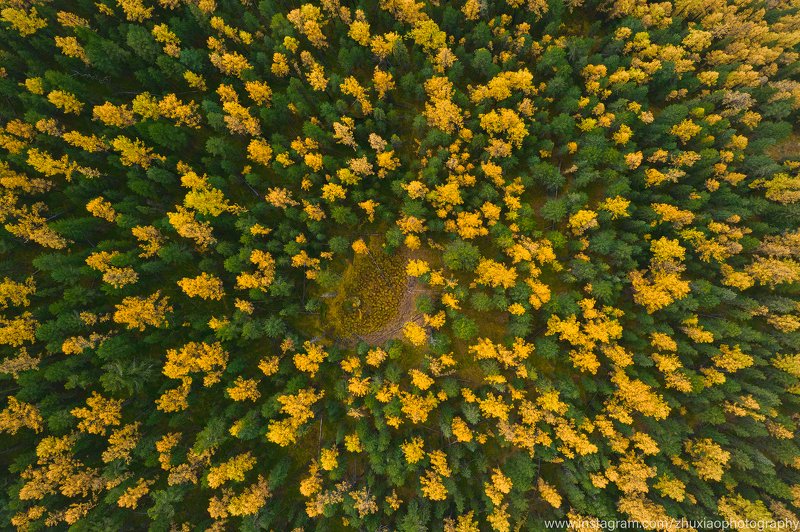 Осень Алтайphoto preview