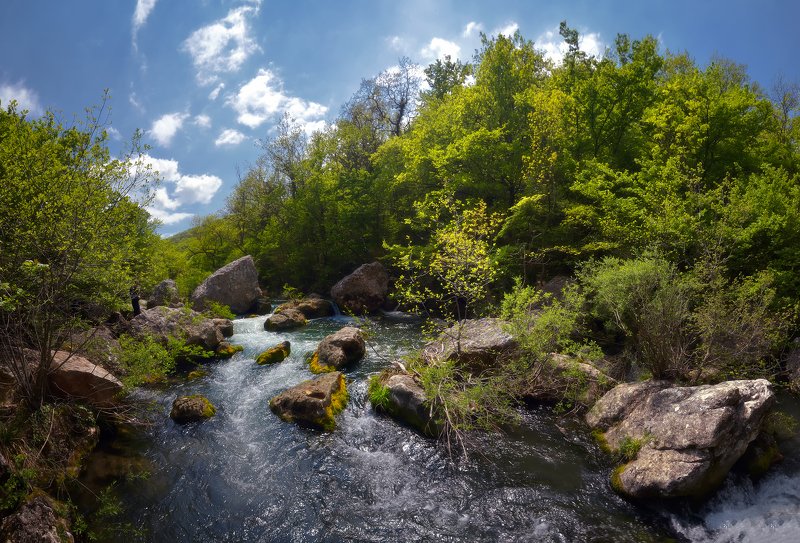 крым, природа, весна, река На реке Чернойphoto preview