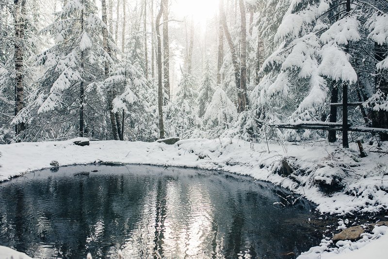 лес, зима, снег, природа. пейзаж, пруд, урал, златоуст photo preview