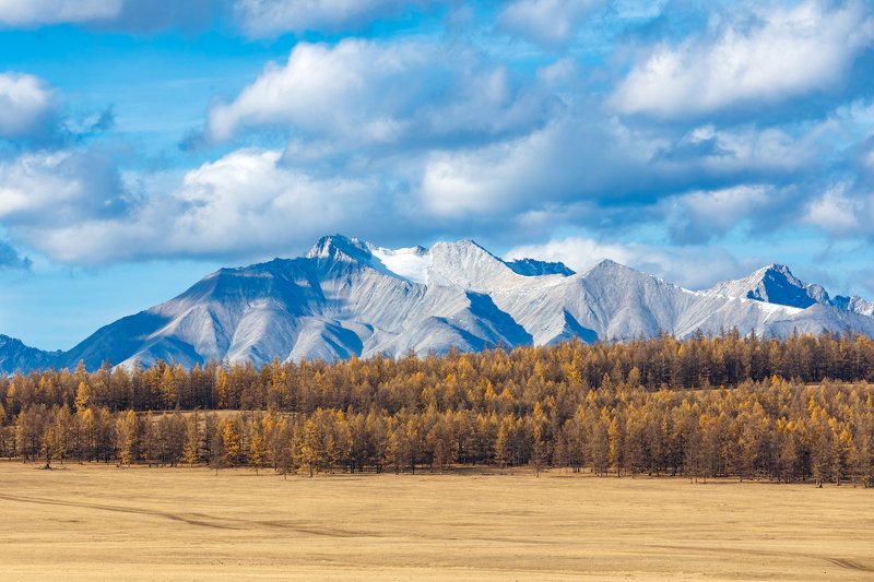 монголия, мунку-сардык Mönkh Saridagphoto preview