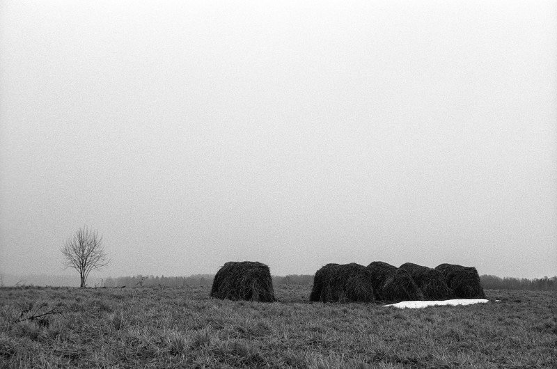 severe serenityphoto preview