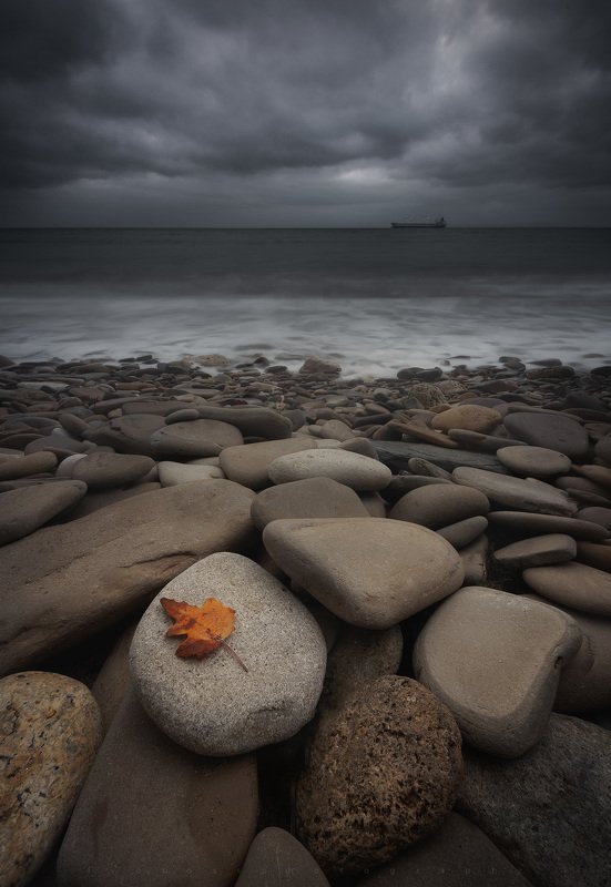 Season Definitionphoto preview